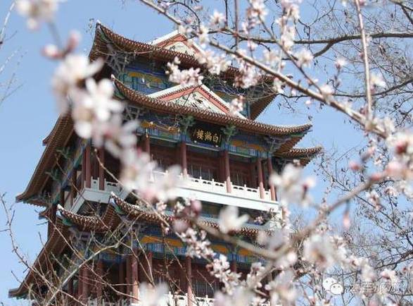 今天沈阳人去这些地方玩全都不要钱！都在家门口不知道你就亏大了！(图6)