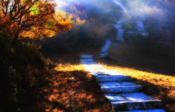 今天沈阳人去这些地方玩全都不要钱！都在家门口不知道你就亏大了！(图5)